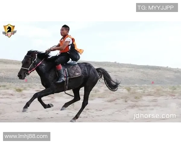 上海足球队总决赛耐力表现分析与未来展望